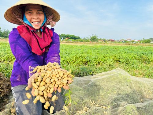  Niềm vui được mùa