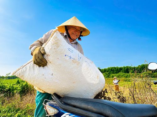  Vận chuyển những bao lạc tươi về nhà