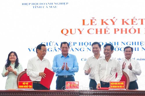 Lãnh đạo tỉnh chứng kiến đại diện NHNN chi nhánh Khu vực 15 ký kết quy chế phối hợp với Sở Nông nghiệp và Môi trường, Hội Nông dân tỉnh và Hiệp hội Doanh nghiệp tỉnh Cà Mau.