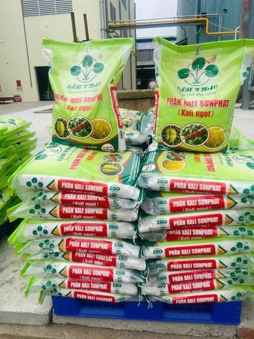 Kali sulphat (SOP) là dòng phân bón vô cơ cao cấp của Lâm Thao