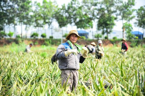 Dưới nắng nóng gay gắt, người lao động phải mang theo nước uống, tranh thủ vài phút nghỉ ngơi rồi tiếp tục công việc. Ảnh: Đình Minh