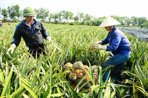 Càng về trưa, nền nhiệt ngoài trời càng tăng cao, hơi nóng hắt lên từ đất đá khiến không khí thêm oi bức. Dẫu vậy, nhịp làm việc của người lao động gần như không ngơi nghỉ. Ảnh: Đình Minh