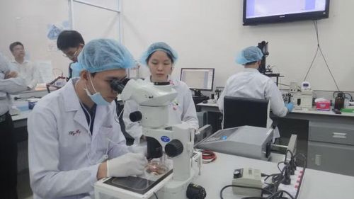 Nghiên cứu khoa học tại Trường đại học Quốc tế, Đại học Quốc gia Thành phố Hồ Chí Minh.