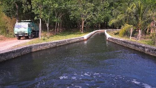Nước sông Vàm Cỏ Đông đoạn qua xã Hảo Đước, Ninh Điền, Long Chữ, Long Thuận... phục vụ sản xuất đã đen ngòm, bốc mùi thối.