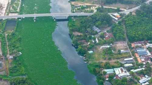 Sông Vàm Cỏ Đông đoạn qua xã Hảo Đước, Ninh Điền, Long Chữ, Long Thuận... đang phải oằn mình chống chọi với tình trạng ô nhiễm vào cao điểm mùa khô kéo dài suốt gần một thập niên.