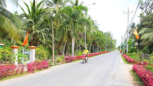 Tuyến đường giao thông của xã Trung Hiệp, tỉnh Vĩnh Long, được trồng hoa, cây cảnh tạo cảnh quan sáng- xanh- sạch- đẹp cho vùng quê nông thôn. (Ảnh: TUYẾT NGA)