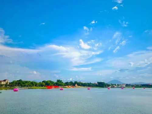 Những đóa sen được xếp thẳng hàng trên sông Hương bên lá cờ Phật giáo khổng lồ, hứa hẹn trở thành điểm nhấn đặc biệt của mùa Phật đản năm nay.