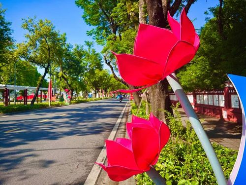 Những đóa sen trang trí rực sáng trên các tuyến đường trung tâm TP Huế.