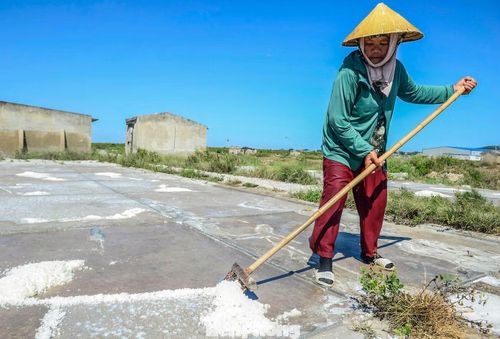 Tại vùng sản xuất muối ở xã Hoa Lộc, diêm dân vẫn phơi mình dưới nắng làm việc. Giá muối nhiều năm nay dao động ở mức thấp, chỉ khoảng 2.100 - 2.300 đồng/kg. Vất vả, thu nhập lại bấp bênh nên hiện nay không còn người trẻ theo nghề, những cánh đồng muối chỉ còn người già bám trụ.