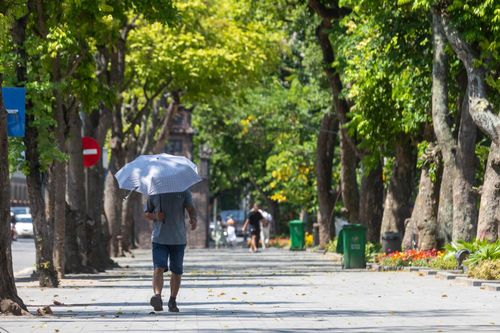 Xung quanh khu vực Hồ Gươm vắng bóng người đi bộ vào sáng sớm, du khách cũng hạn chế đến đây bởi nắng nóng gay gắt.