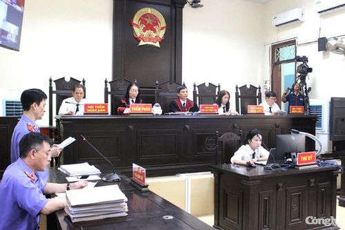 HĐXX TAND tỉnh Gia Lai nhận định, đây là vụ án phạm tội có tổ chức.