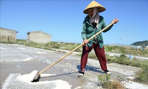 Dù nhiệt độ ngoài trời có thể lên tới hơn 40 độ C nhưng những diêm dân làng muối Tam Hòa vẫn đang "phơi mình" giữa nền trời xanh ngắt, trong vị mặn chát của nước biển và màu trắng tinh của muối để mưu sinh.