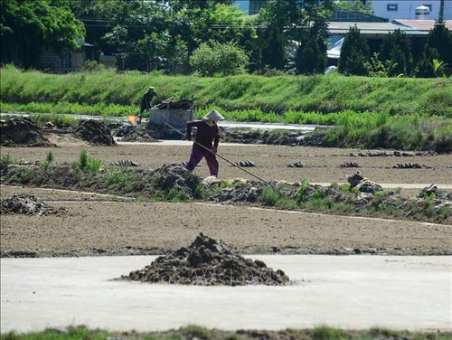 Bằng sự chăm chỉ và yêu nghề của mình, những người “tranh mưa, cướp nắng” ở đồng muối Tam Hòa vẫn đang từng ngày chắc lọc sự tinh túy của biển cả để mưu sinh và giữ nghề truyền thống