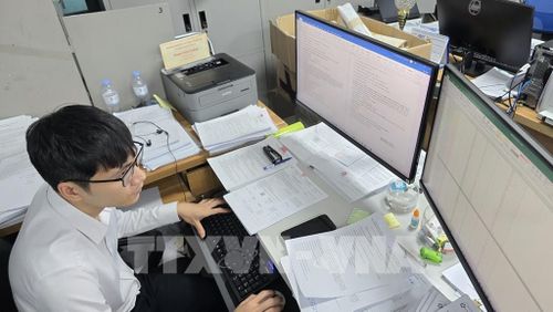 Công chức phường Móng Cái 3 thực hiện song song nhiệm vụ giải quyết TTHC trên cổng dịch vụ công và rà soát dữ liệu đất đai. Ảnh: Thanh Vân-TTXVN 