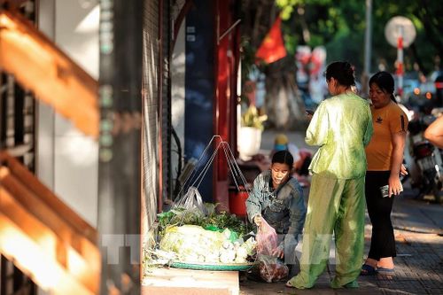 Từ sáng sớm, nhiều người đã tranh thủ đi mua thực phẩm, rau xanh. Ảnh: Phạm Tuấn Anh - TTXVN