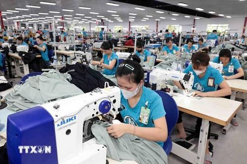 Ngành dệt may là một trong những động lực chính của toàn ngành công nghiệp. Ảnh: Trần Việt/TTXVN