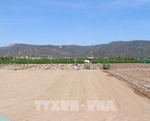 Dự án tái định cư nhà máy điện hạt nhân Ninh Thuận 2 (xã Vĩnh Hải) sử dụng vốn đầu tư công triển khai thi công Ảnh: Công Thử - TTXVN