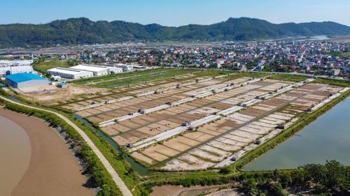 Trải qua khoảng 300 năm hình thành và phát triển, nghề làm muối ở xã Hoa Lộc vẫn được nhiều diêm dân gìn giữ như một phần ký ức và sinh kế của vùng ven biển. Hiện nay, HTX Muối Tam Hòa, xã Hoa Lộc có 2 cánh đồng muối với tổng diện tích khoảng 26ha, duy trì khoảng 80 hộ dân còn bám nghề.