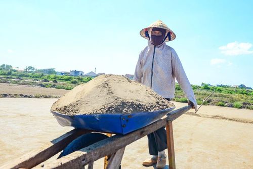 Vì quy luật nghiệt ngã ấy của nghề làm muối mà những ngày nắng gay gắt, người dân phải đội nón lá, mặc áo dài tay, bịt kín người để bám đồng, “gặt muối”.