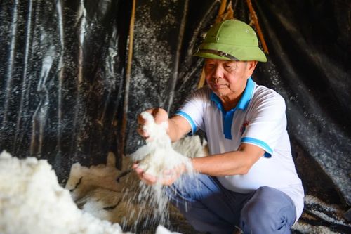 Để nghề muối Hoa Lộc không trở thành ký ức, rất cần những chính sách hỗ trợ thiết thực, những hướng đi mới phù hợp. Bởi khi hạt muối còn đọng vị mặn trên tay người làm, thì niềm tin vào một ngày mai sáng hơn nơi đồng muối vẫn còn lấp lánh dưới nắng.
