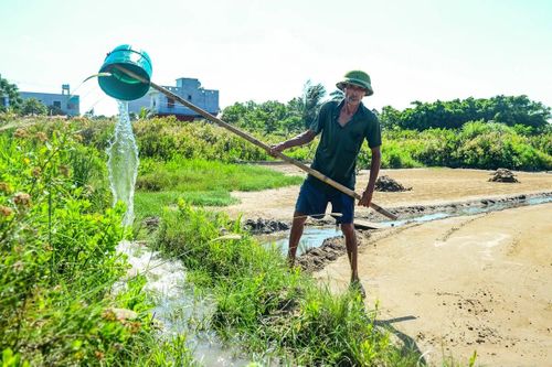 Ông Lê Văn Lộc, một diêm dân ở xã Hoa Lộc cho biết: “Nghề muối cực lắm, phải dậy từ sáng sớm, nắng to mới có muối nên càng nắng lại càng phải ra đồng làm”.