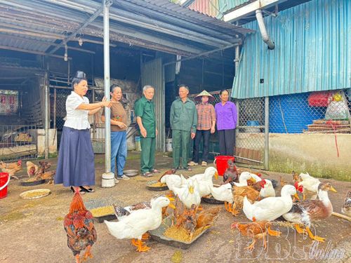 Cán bộ Hội LHPN xã Thanh An luôn đồng hành cùng hội viên trong phát triển kinh tế, xây dựng cuộc sống ấm no.