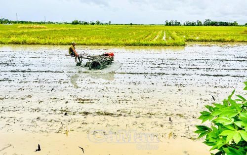 Nhiều hộ dân ứng dụng cơ giới vào sản xuất, tiết kiệm thời gian và công lao động.