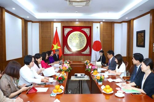 Bộ trưởng Lâm Thị Phương Thanh tiếp Đại sứ Nhật Bản tại Việt Nam Ito Naoki