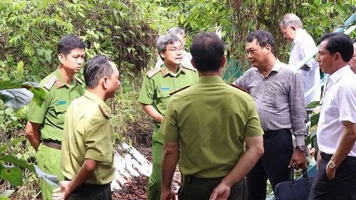Ngành chức năng lên kế hoạch bảo vệ vườn chim vạc quý hiếm.