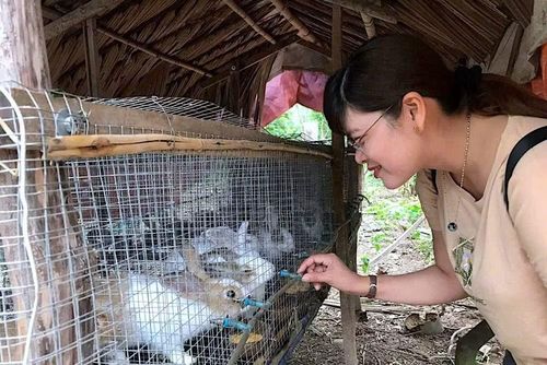 Sau khi có mái ấm để an cư, nhóm đối tượng yếu thế tại Cà Mau rất cần trợ lực bằng các mô hình thiết thực để "lạc nghiệp", vươn lên thoát nghèo.