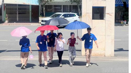 Gần 24.000 thí sinh Lào Cai chính thức bước vào ngày thi đầu tiên của Kỳ thi tuyển sinh vào lớp 10 THPT năm học 2026 - 2027. Ảnh baolaocai.vn