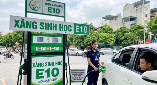 Hệ thống bán lẻ xăng dầu đang được điều chỉnh, nâng cấp để phù hợp với việc phân phối xăng sinh học E10.