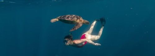 Du khách bơi lặn cùng rùa biển ở Samoa. Ảnh: Samoa Travel.