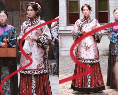 Tạo hình của Lâm Chí Linh trong Hoa ngọc lan nở, người lại đến. Nhưng vai diễn của cô đã bị xóa bỏ khỏi phần giới thiệu phim.