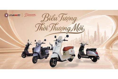 Xe điện Powelldd Dimoon