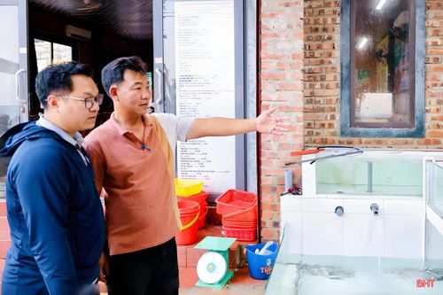 Để review các món hải sản, tôi thường trực tiếp đến tận quán để quay chụp, trải nghiệm thực tế và ghi lại chân thực nhất chất lượng món ăn cũng như không gian phục vụ.