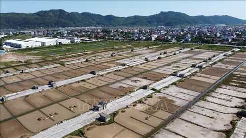 Hiện tại, xã Hoa Lộc có 2 cánh đồng muối là Trương Xá và Nam Tiến với gần 400 hộ dân bó với nghề làm muối trên diện tích gần 30ha.