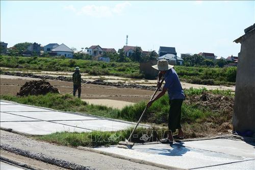 Điều dễ nhận thấy khi đến làng muối Tam Hòa đó là hầu hết những người còn bám trụ với nghề làm muối ở Hoa Lộc hiện nay đều là những người nông dân tuổi đã ngoại tứ tuần.