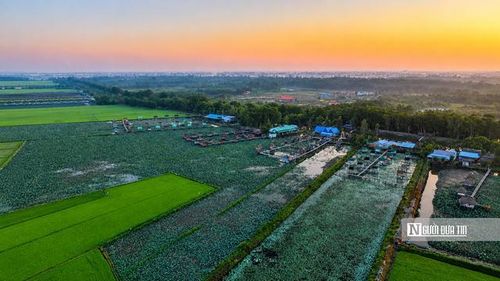 Hoạt động du lịch sinh thái đang phát triển mạnh tại Đồng Tháp.