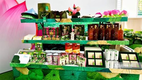 Nhiều sản phẩm được chế biến từ sen.