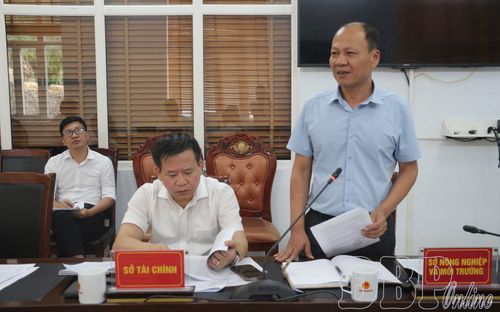 Lãnh đạo Sở Nông nghiệp và Môi trường tham gia ý kiến tại buổi làm việc.