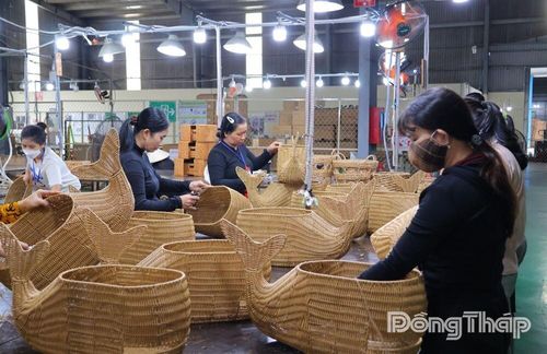 Hoạt động sản xuất của doanh nghiệp trên địa bàn xã Mỹ Hiệp góp phần tạo việc làm, thúc đẩy phát triển kinh tế nông thôn sau sáp nhập.