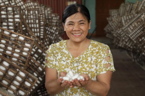 Niềm vui mùa tằm.