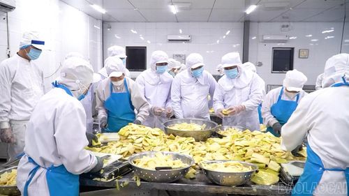 Người dân xã Hưng Khánh liên kết sản xuất và tiêu thụ nông sản theo chuỗi giá trị.