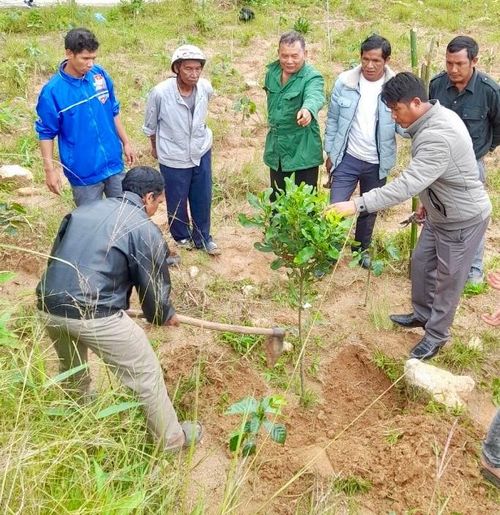 Các chi bộ thôn vùng đồng bào DTTS tích cực vận động người dân cải tạo vườn kém hiệu quả, chuyển đổi sang loại cây trồng có giá trị kinh tế cao.