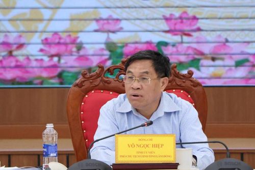 Phó Chủ tịch UBND tỉnh Võ Ngọc Hiệp yêu cầu các sở, ngành, đơn vị, địa phương phối hợp chủ động, linh hoạt với thành viên Tổ công tác số 3 trong tháo gỡ khó khăn, vướng mắc các dự án