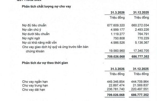 Nợ nhóm 2 tăng mạnh, áp lực chi phí vốn hiện hữu.