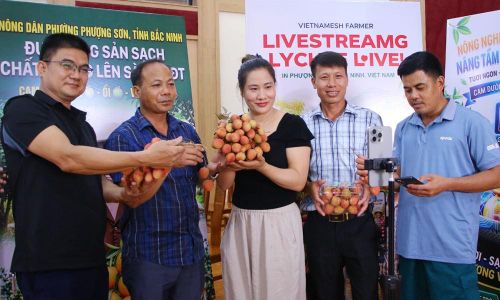 Nông dân phường Phượng Sơn ứng dụng công nghệ số livestream bán vải thiều ngay tại hội nghị. Ảnh: PV