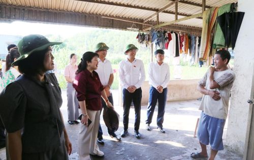 Đoàn khảo sát thực tế tại xã Hải Lạng. Ảnh: Nguyễn Thanh