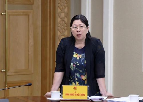 Thứ trưởng Bộ Nông nghiệp và Môi trường Nguyễn Thị Phương Hoa báo cáo tại cuộc họp. (Ảnh: VGP)